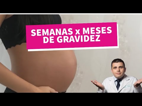 24 semanas equivalem a quantos meses?