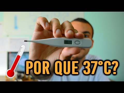 25 Graus é Considerado Calor?