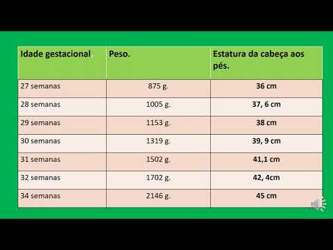 36 semanas correspondem a quantos meses?