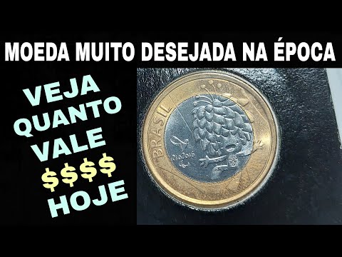 8 períodos equivalem a quantos anos?