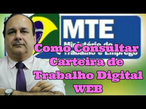 A empresa consegue consultar empregos anteriores na carteira digital?