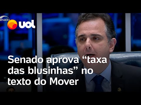 A Shein estará taxando em 2025?