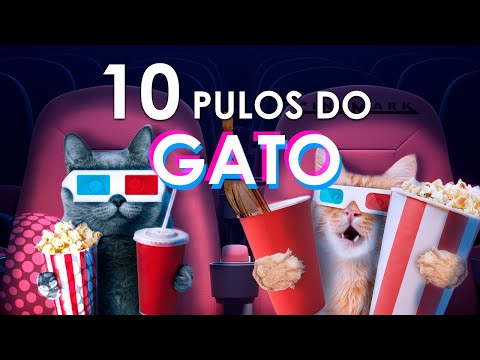 Aniversariante Paga Cinema Cinemark? Descubra Como Funciona!