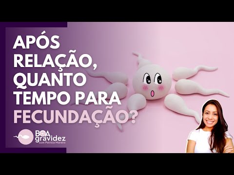 Após a relação, quanto tempo leva para engravidar?