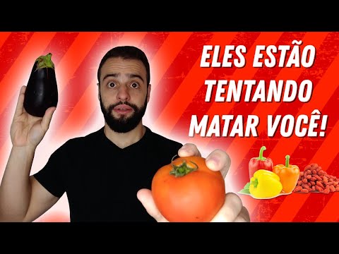 Berinjela é fruta ou legume? Descubra a verdade!