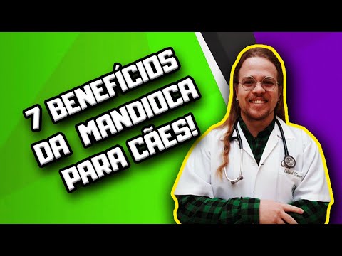 Cachorro pode comer mandioca?