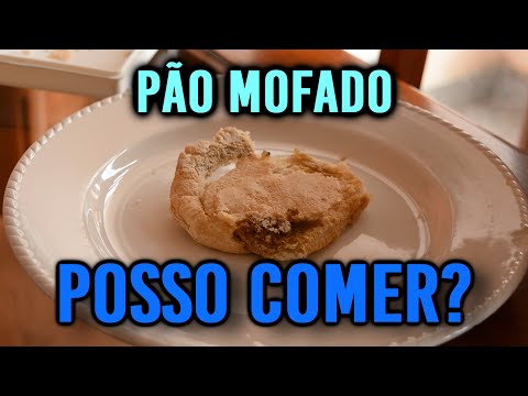 Cachorro pode comer pão? Quais os riscos e benefícios?