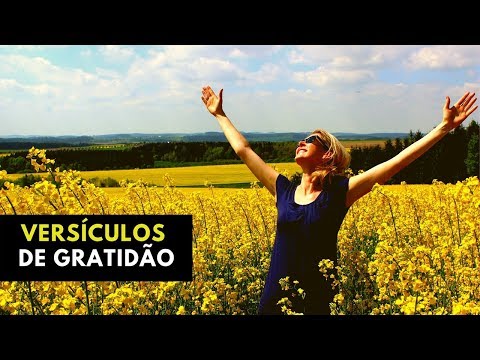 Como a Gratidão a Deus Pode Transformar Seu Bom Dia?