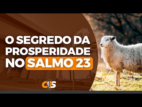 Como a Oração da Prosperidade em 7 Dias com o Salmo 23 Pode Transformar Sua Vida?