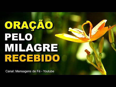 Como agradecer a Deus pelas bênçãos recebidas?