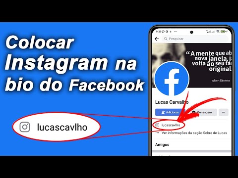 Como colocar o endereço na biografia do Instagram?