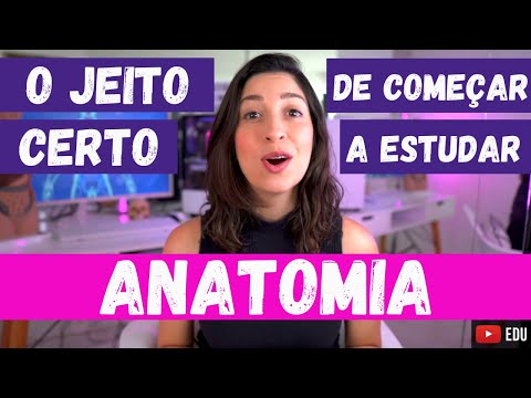 Como Começar uma Introdução de Forma Eficiente?