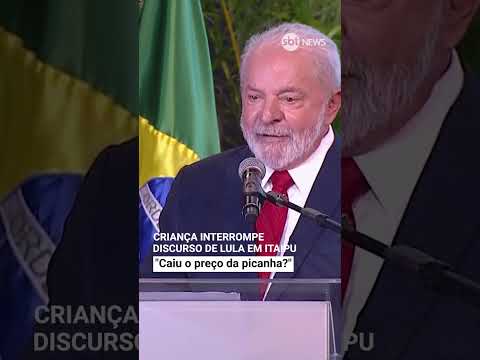 Como declarar arma de fogo no Imposto de Renda 2025?