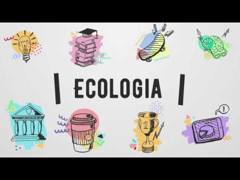 Como diferenciar ecologia e meio ambiente?