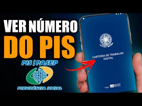 Como encontrar o número do PIS na carteira de trabalho digital?