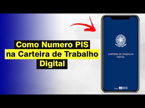 Como encontrar o PIS na carteira de trabalho digital?