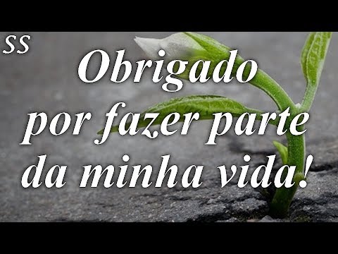 Como escrever uma mensagem de agradecimento para a sua psicóloga?