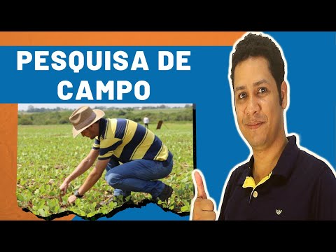 Como fazer uma pesquisa de campo?