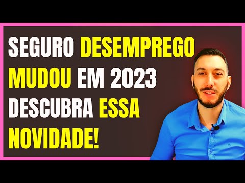 Como funciona o seguro-desemprego?