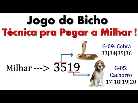 Como ganhar uma fortuna com apenas 1 acerto e 2 trevos?