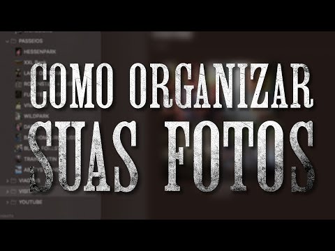 Como organizar as fotos do Instagram de forma eficiente?