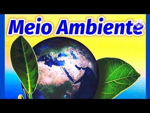 Como podemos garantir a preservação do meio ambiente?