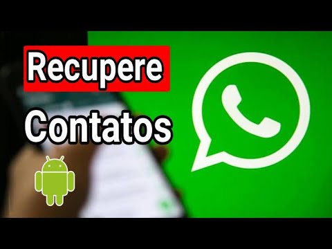 Como recuperar contatos apagados do WhatsApp?