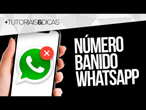 Como recuperar meu WhatsApp denunciado?