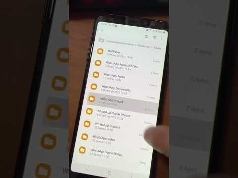 Como recuperar vídeos apagados do WhatsApp?