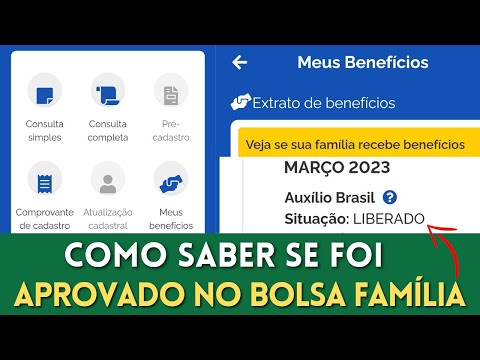 Como saber se a consulta ao Bolsa Família foi aprovada pelo CPF?