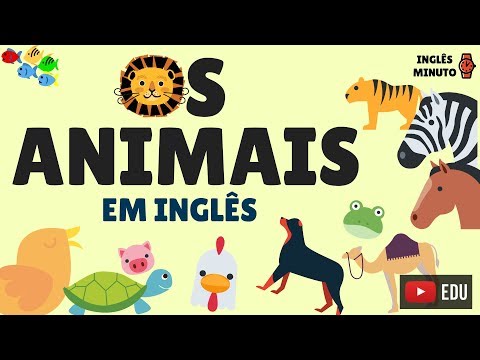 Como se diz zebra em inglês?