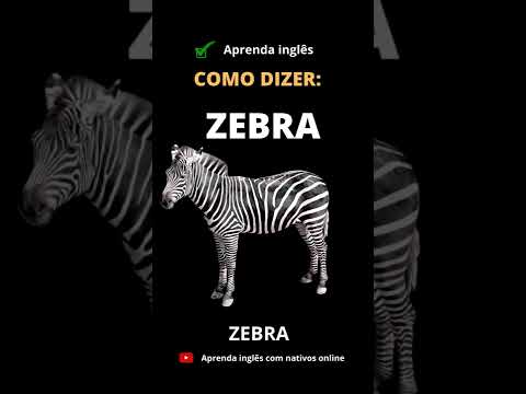 Como se escreve zebra em inglês?