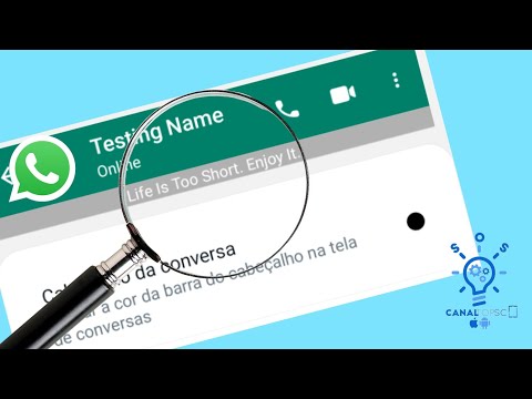 Como usar o status oculto no WhatsApp GB?