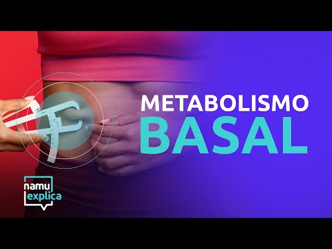 Como usar uma calculadora de metabolismo basal?