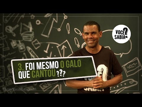 É normal o galo cantar antes da meia-noite?