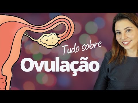 É seguro comer ovo durante a menstruação?