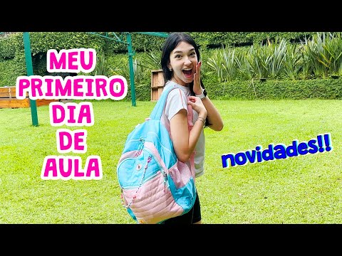 Em qual escola a Luluca estuda?