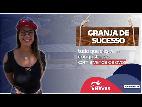 Granja de Ovo: É Lucrativa?