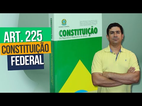 O que diz o artigo 225 da Constituição Federal?