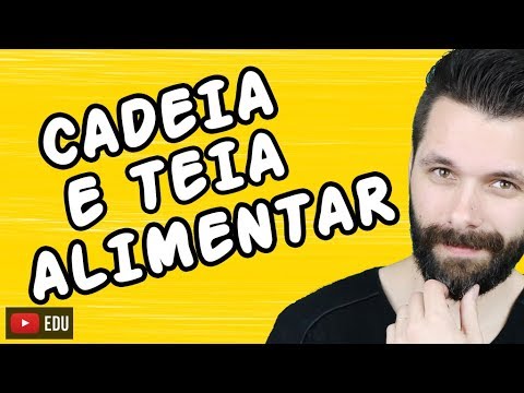 O que é cadeia alimentar e como ela funciona?