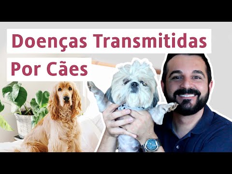 O que é cio e como ele afeta os animais?