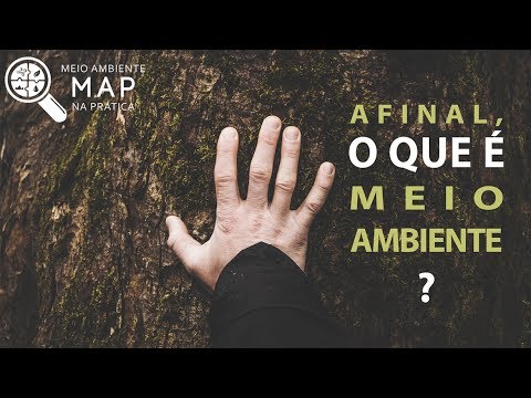 O que é meio ambiente e por que é importante para nós?