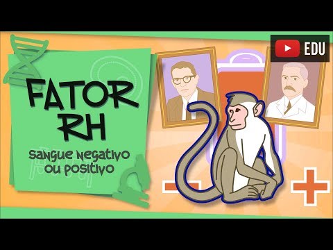 O que é o fator Rh e por que ele é importante?