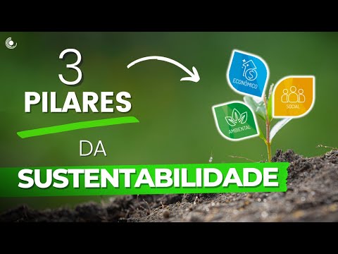 O que é o pilar ambiental do ESG e qual a sua importância?