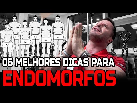 O que é um endomorfo?