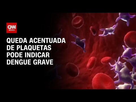 O que fazer com plaquetas baixas na dengue?