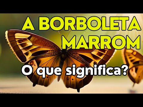 O que significa encontrar uma borboleta dentro de casa?