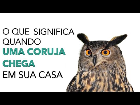 O que significa quando uma coruja aparece?