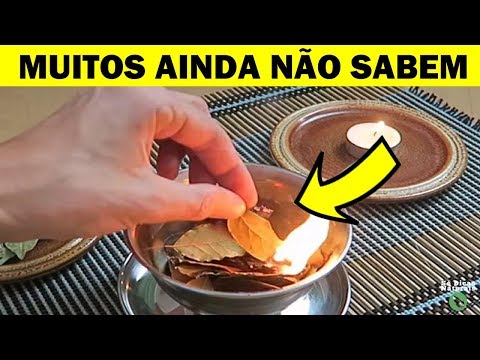 O que significa queimar folha de louro?