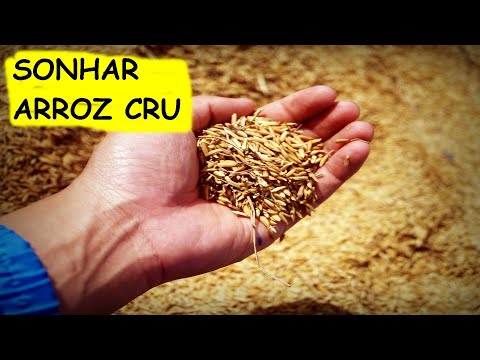 O que significa sonhar com arroz cru?